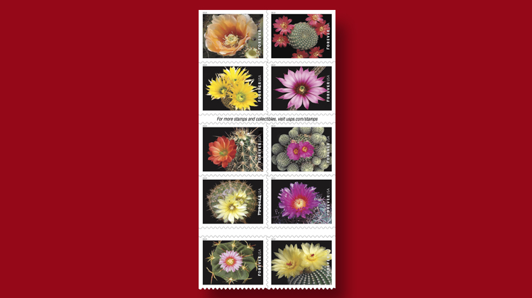 us-stamps-2019-cactus-flowers us-stamps-2019-cactus-flowers